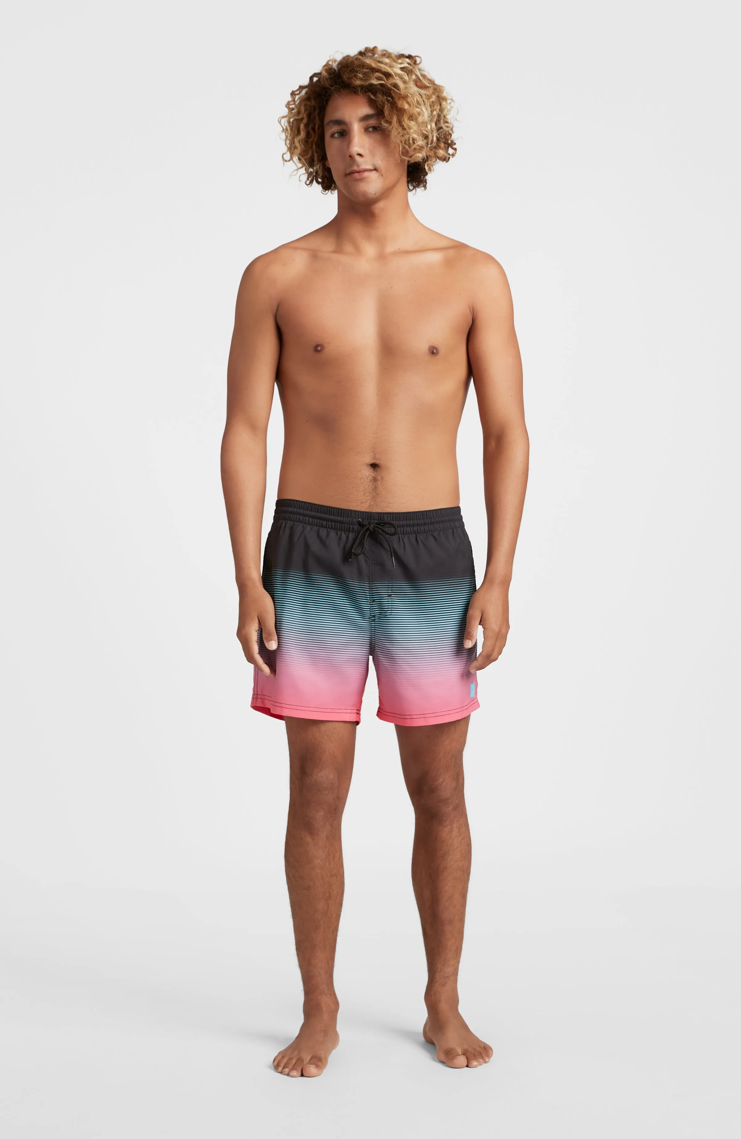 Cali Gradient 15'' Swim Shorts | Black Simple Gradient