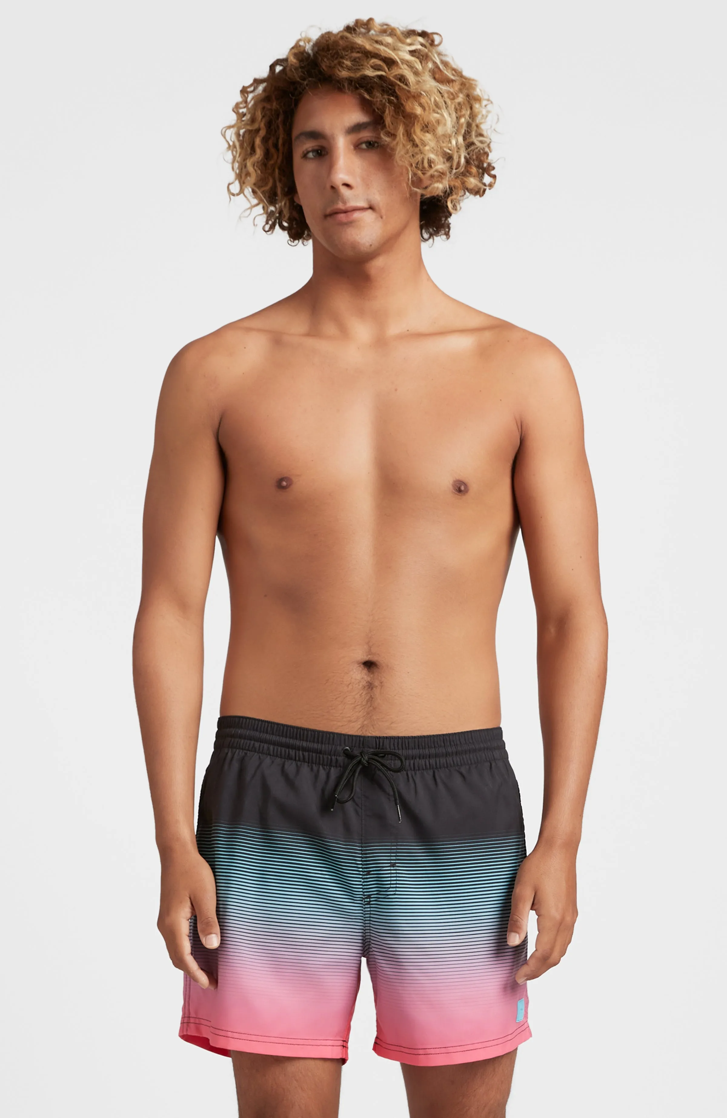 Cali Gradient 15'' Swim Shorts | Black Simple Gradient