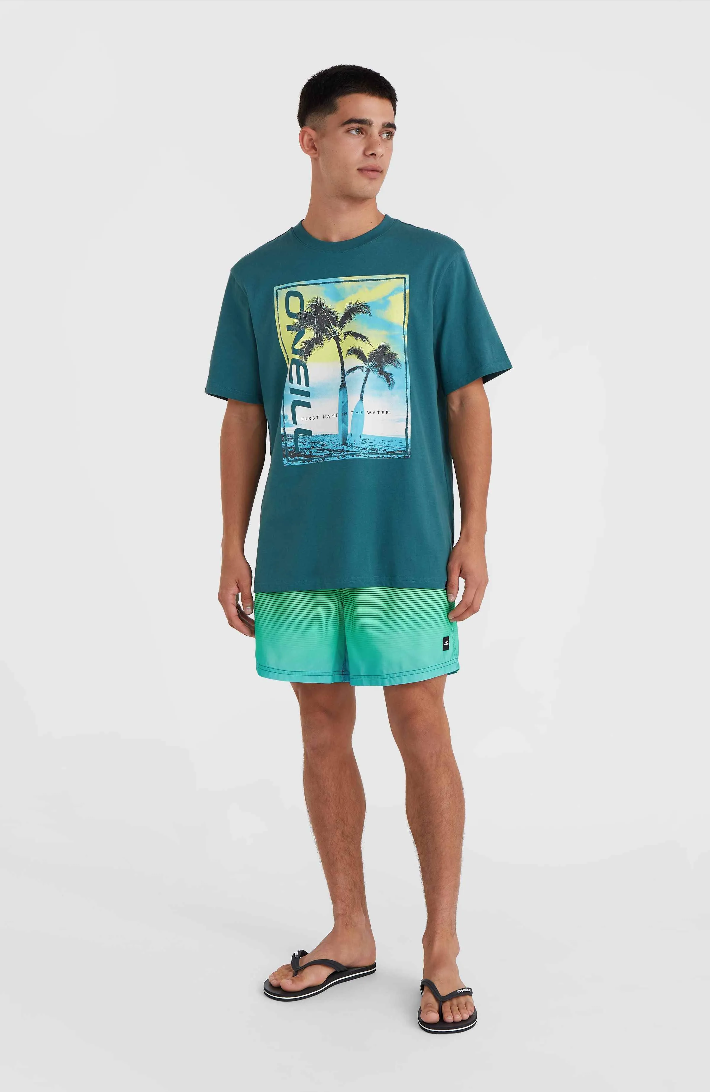 Jack O'Neill Cali Gradient 15\" Swim Shorts | Beetle Juice Simple Gradient Panel"