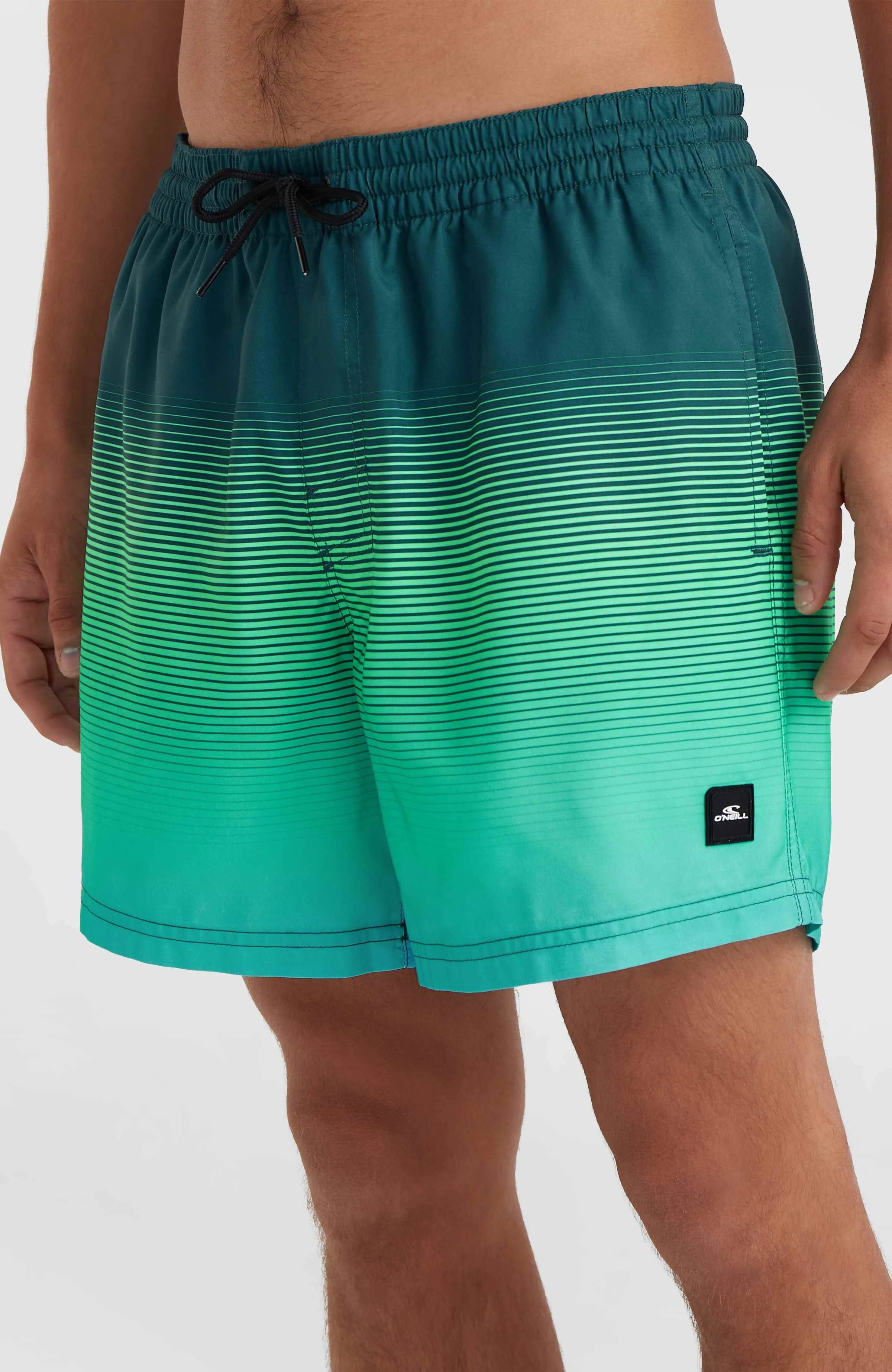 Jack O'Neill Cali Gradient 15\" Swim Shorts | Beetle Juice Simple Gradient Panel"