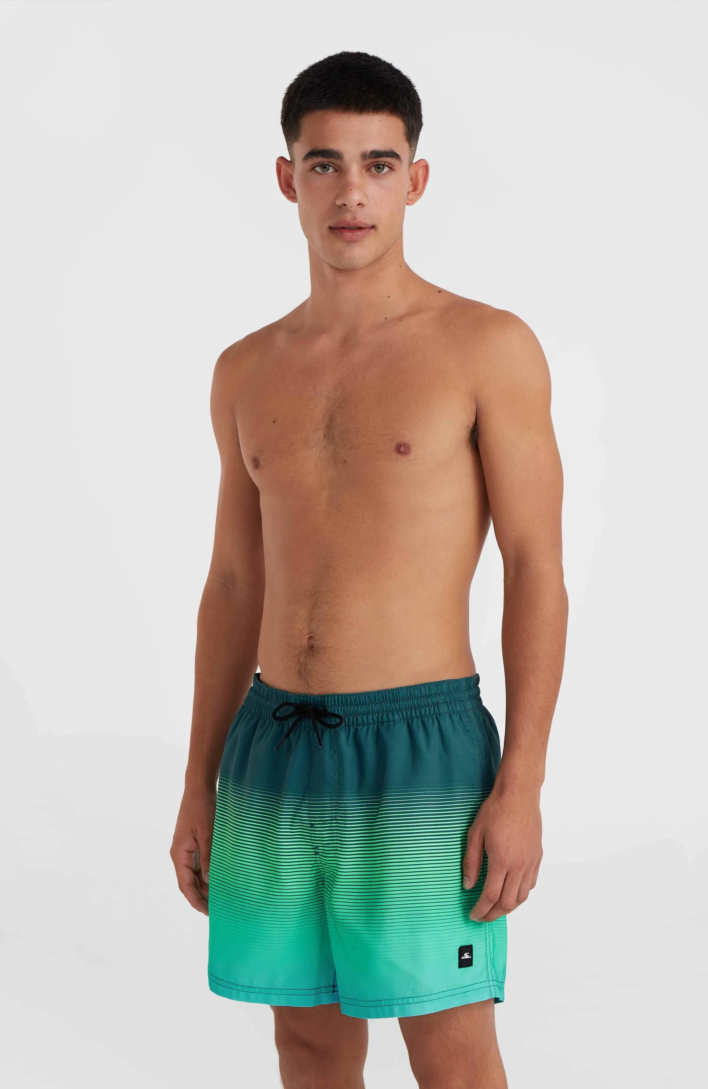 Jack O'Neill Cali Gradient 15\" Swim Shorts | Beetle Juice Simple Gradient Panel"