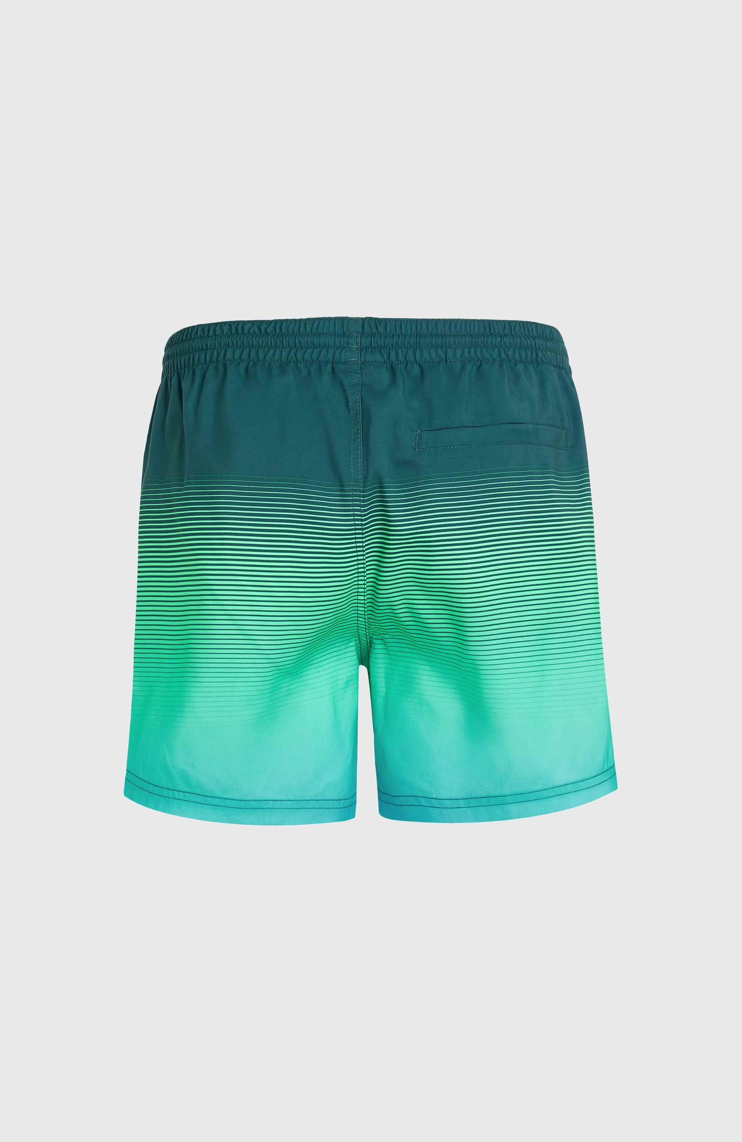 Jack O'Neill Cali Gradient 15\" Swim Shorts | Beetle Juice Simple Gradient Panel"